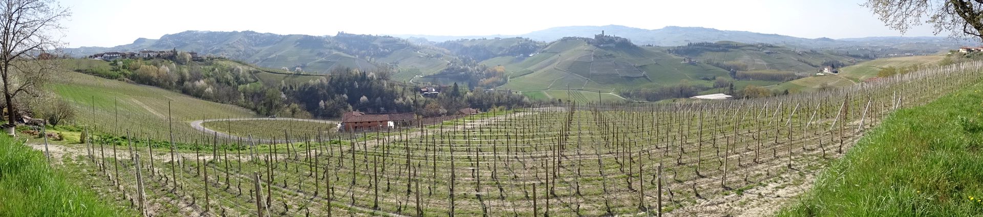 Serralunga d'Alba Provincia di Cuneo, Italia